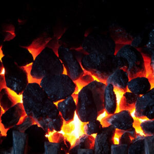 Wholesale of coal