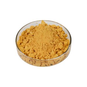 Ginkgo Biloba Powder with USP Grade