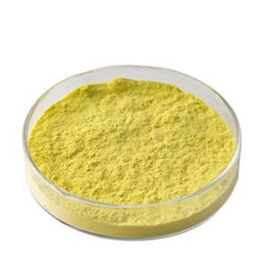 Natural Plant Extract Pure Quercetin Powder USP Grade