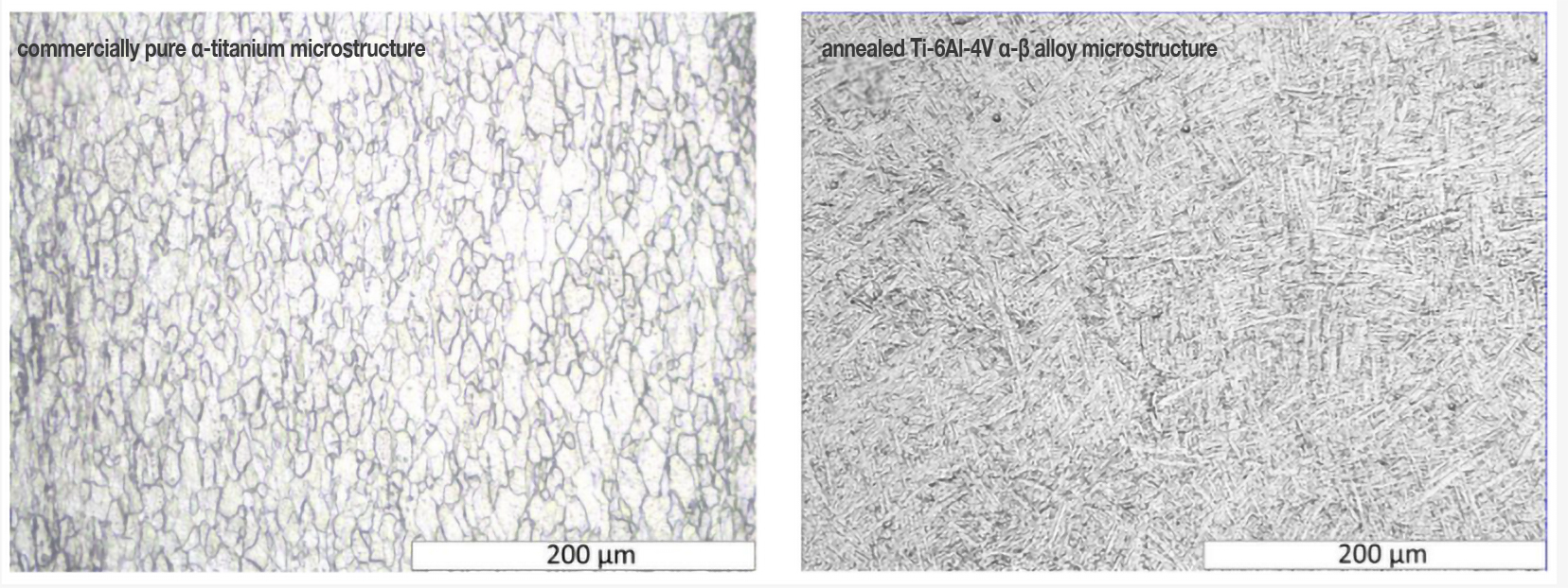 Microstructure of Titanium Alloys for Medical Applications